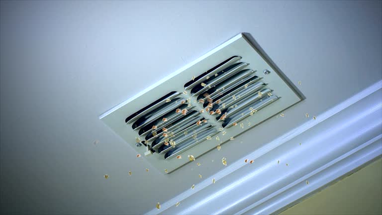 Best Air Duct Mold Removal  in Southmont, NC