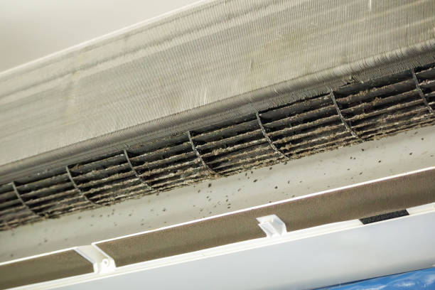 Best Air Duct Cleaning Near Me  in Southmont, NC